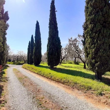 Vila Il Palagio Vinci Exteriér fotografie