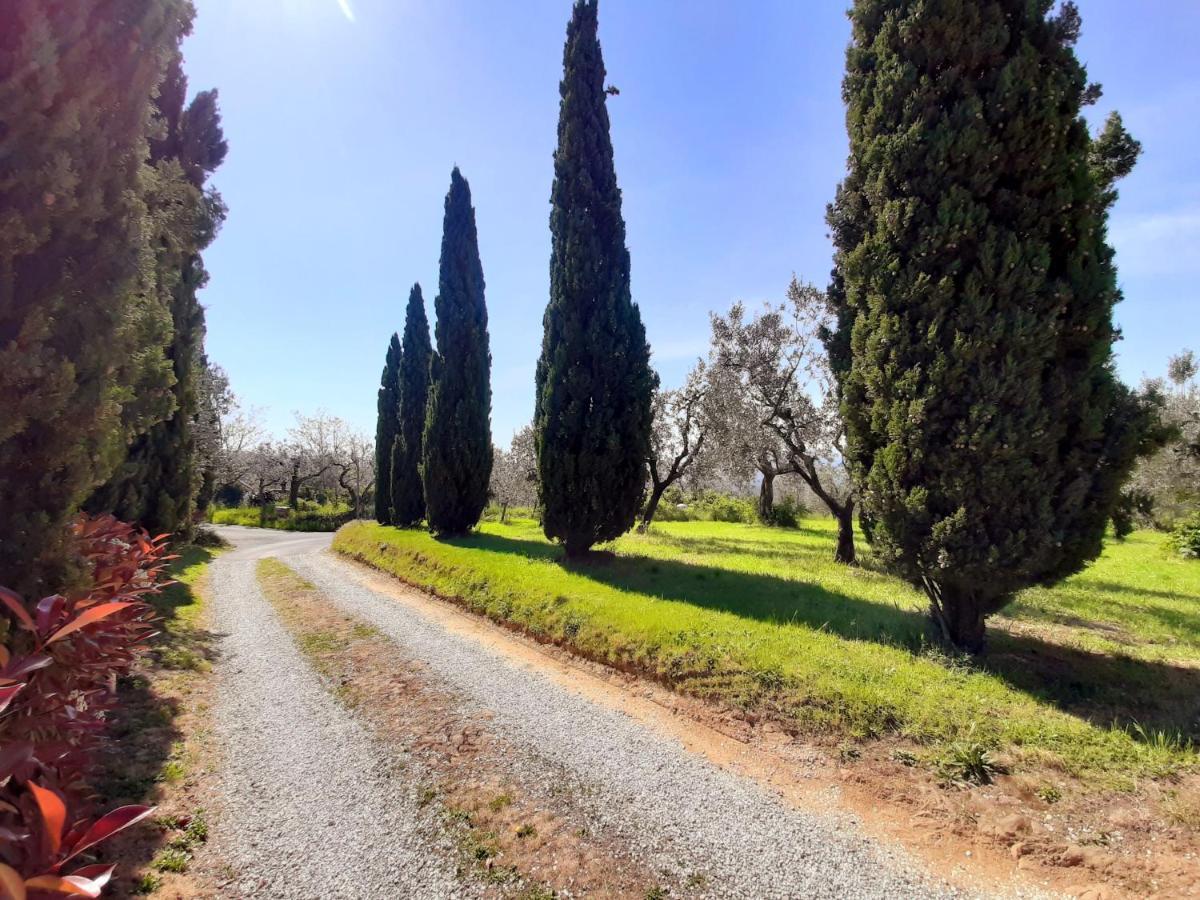 Vila Il Palagio Vinci Exteriér fotografie
