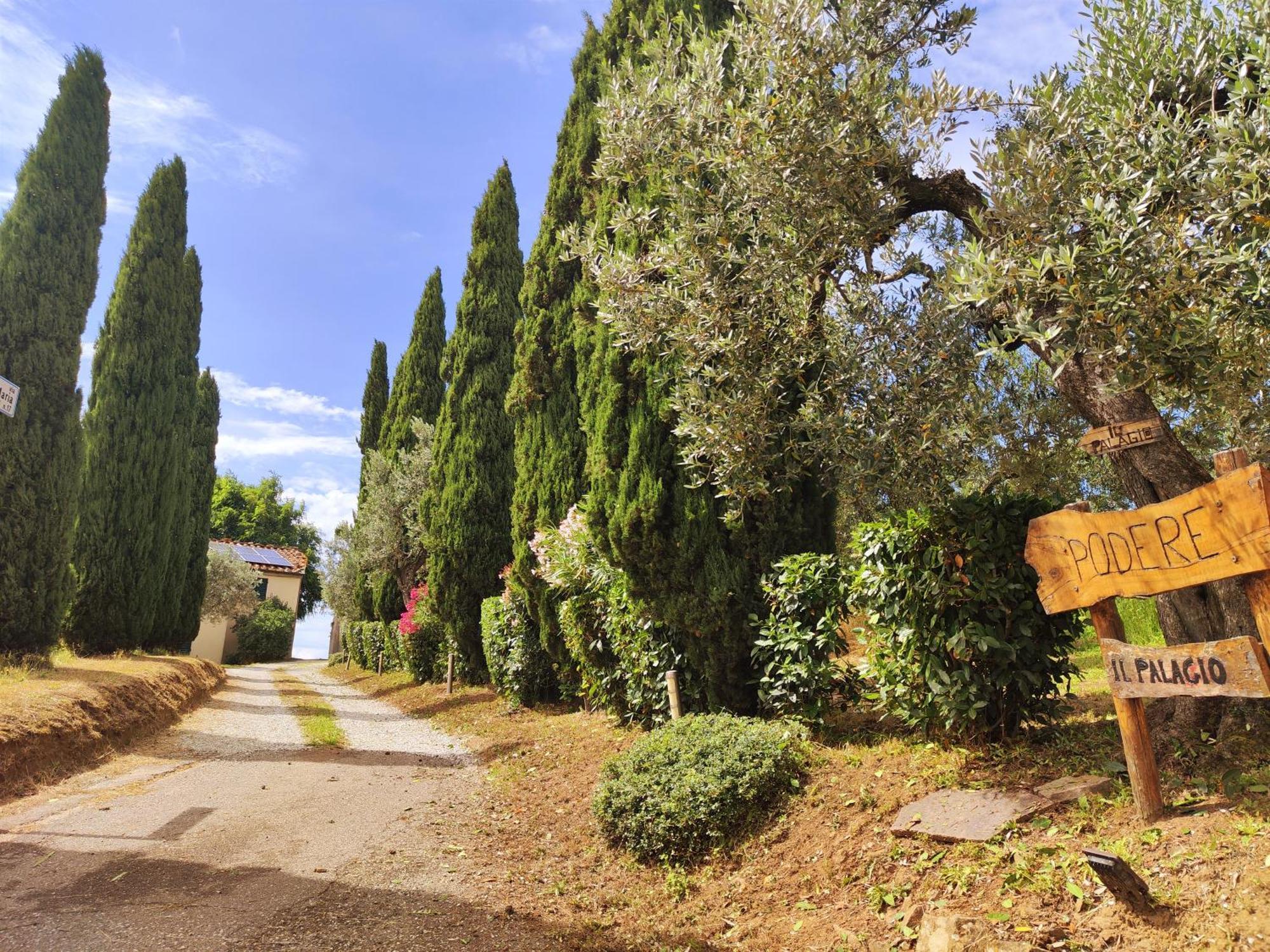Vila Il Palagio Vinci Exteriér fotografie