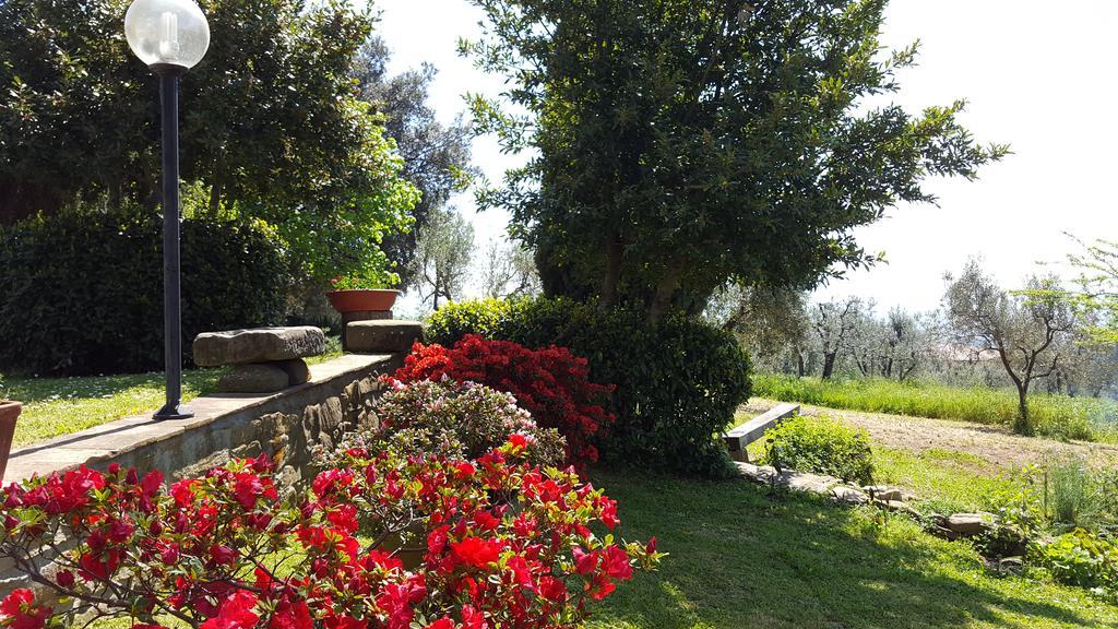 Vila Il Palagio Vinci Exteriér fotografie