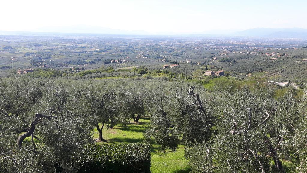 Vila Il Palagio Vinci Exteriér fotografie